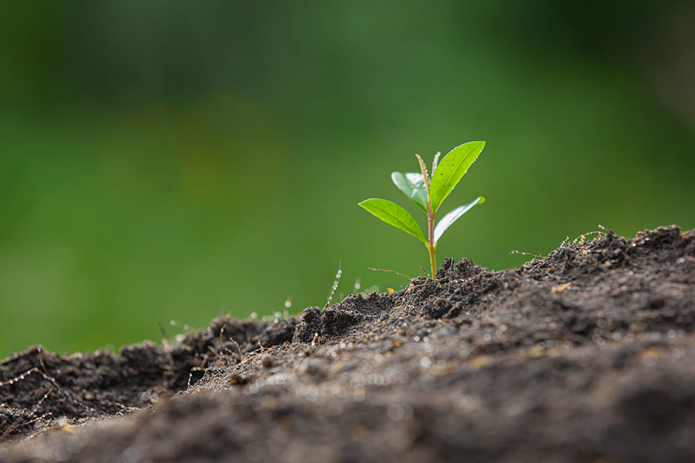 Environmental responsibility